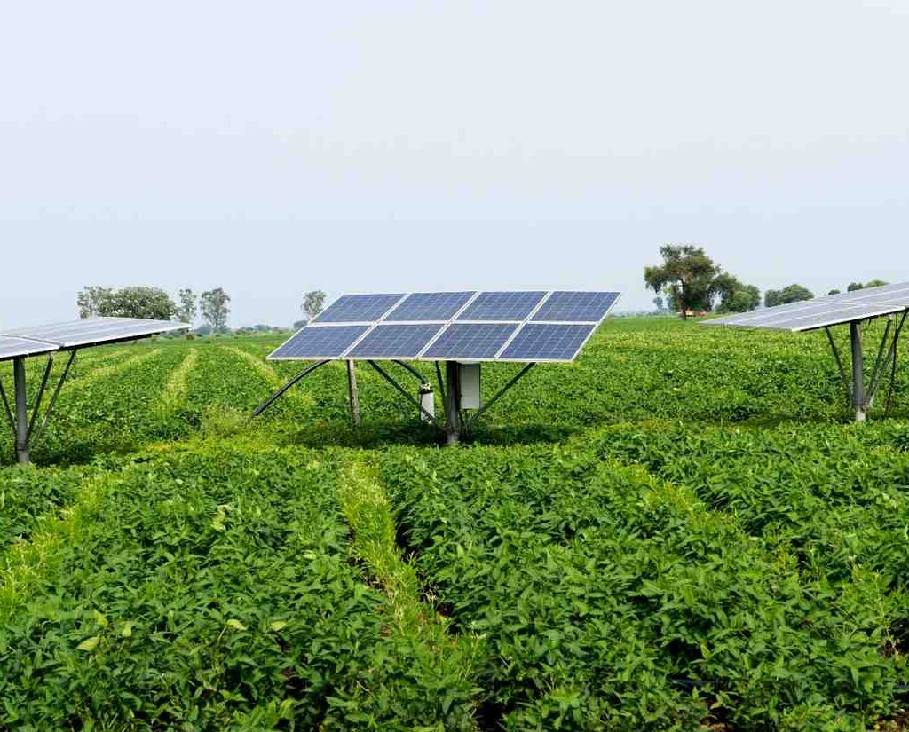 Agrivoltaics in India