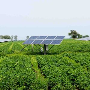 Agrivoltaics in India: Combining Solar Panels and Farming for Dual Income