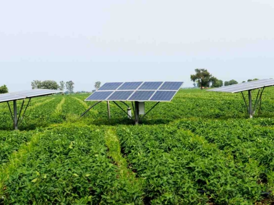 Agrivoltaics in India
