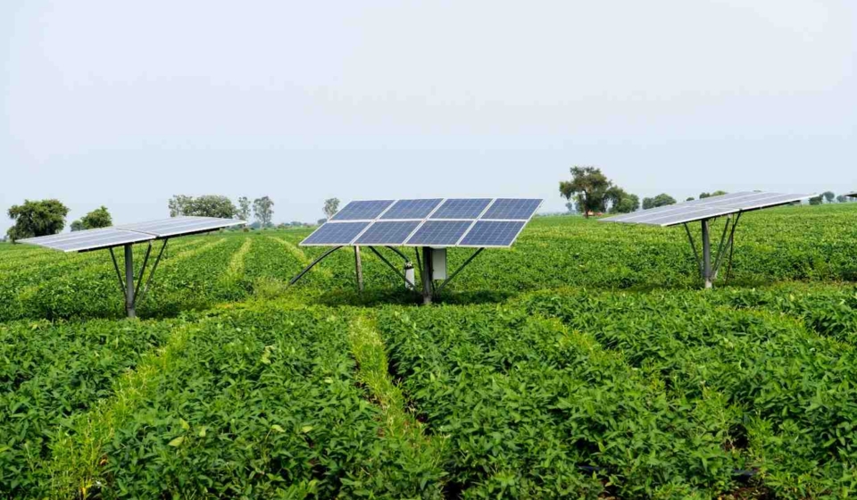 Agrivoltaics in India